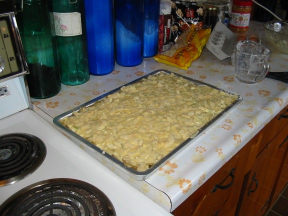 576x432 pixels (67K)